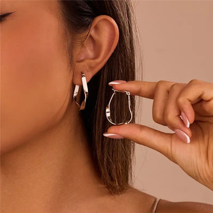 Twisted Loop Silver Earrings