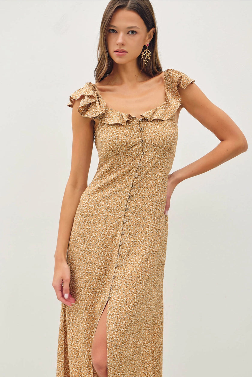 Nancy Dress