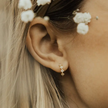 Silver Alice Diamond Hoops